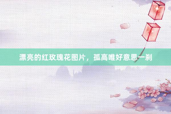 漂亮的红玫瑰花图片，孤高唯好意思一刹