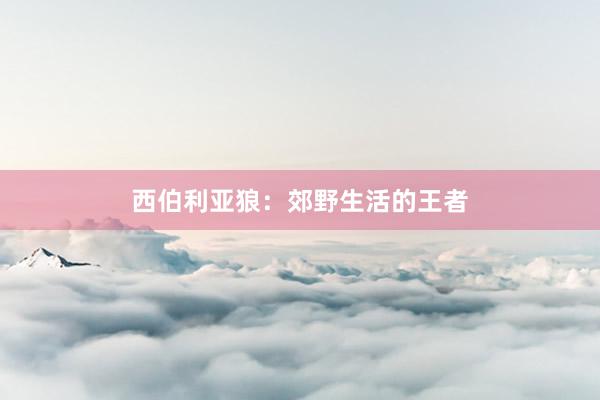 西伯利亚狼:郊野生活的王者